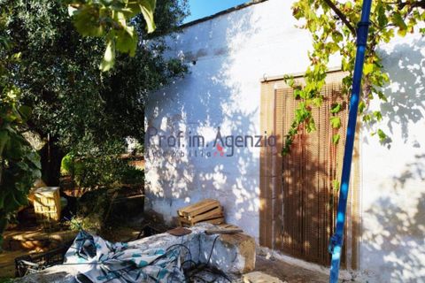 Landejendom i Carovigno, Brindisi, Carovigno - € 140.000 | Ref: 122621 - foto 3